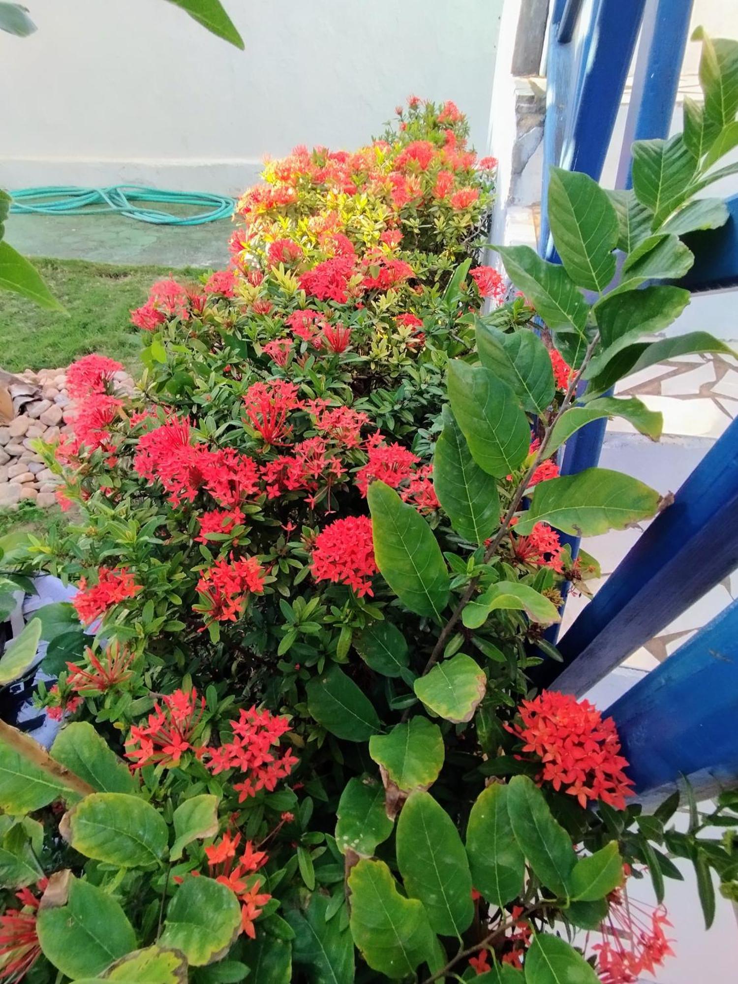 Casa Solaris Villa Aquiraz Dış mekan fotoğraf